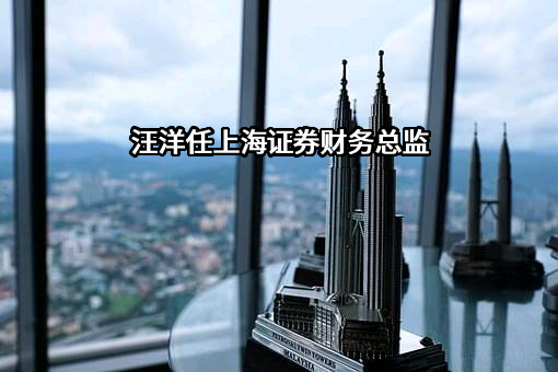 上海证券有限责任公司