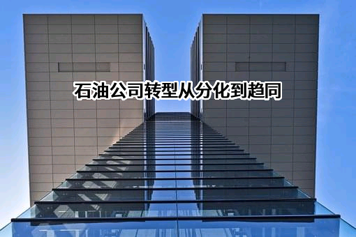 壳牌（中国）有限公司