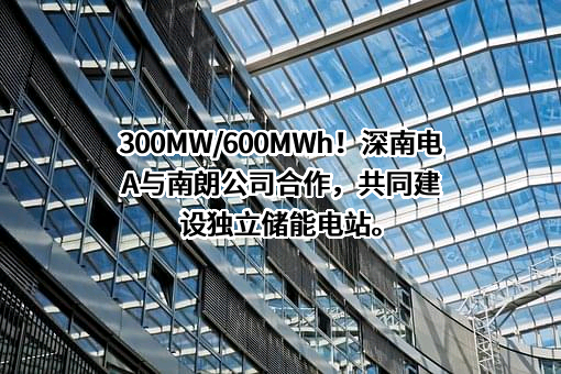 深圳南山热电股份有限公司