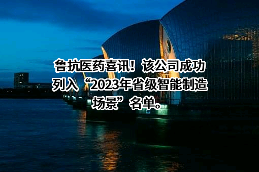 山东鲁抗医药股份有限公司