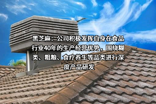 南方黑芝麻集团股份有限公司