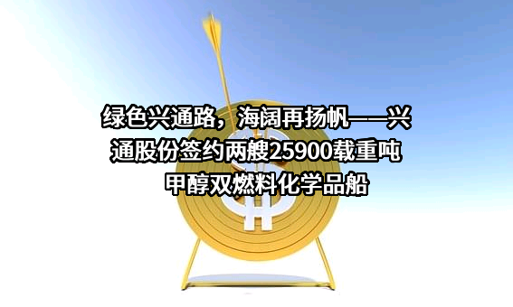 兴通海运股份有限公司
