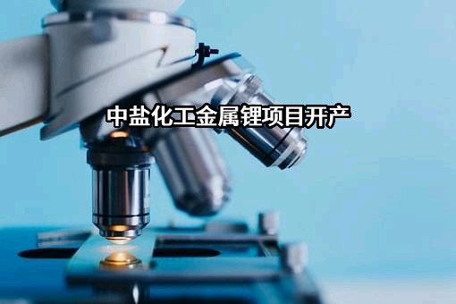 中盐内蒙古化工股份有限公司