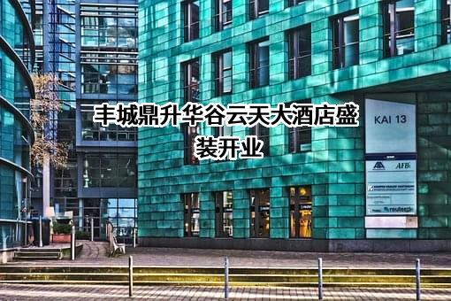 丰城市鼎昇房地产开发集团有限公司