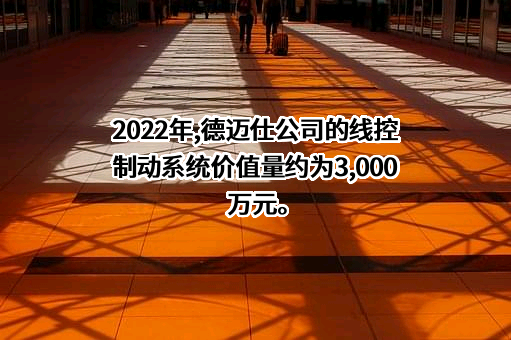 大连德迈仕精密科技股份有限公司