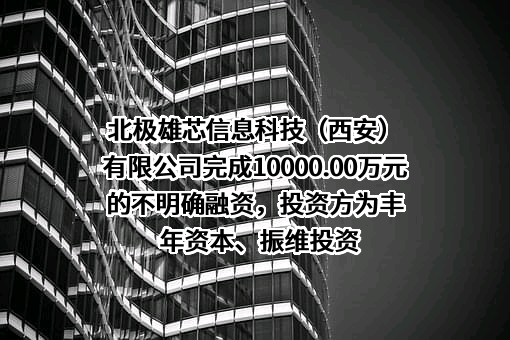 北极雄芯信息科技（西安）有限公司