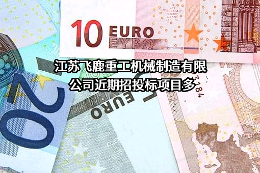 江苏飞鹿重工机械制造有限公司