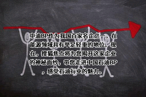 北京搜狐互联网信息服务有限公司