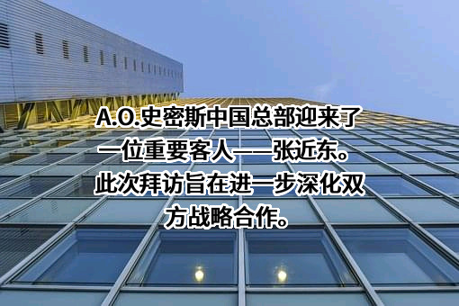 苏宁易购集团股份有限公司