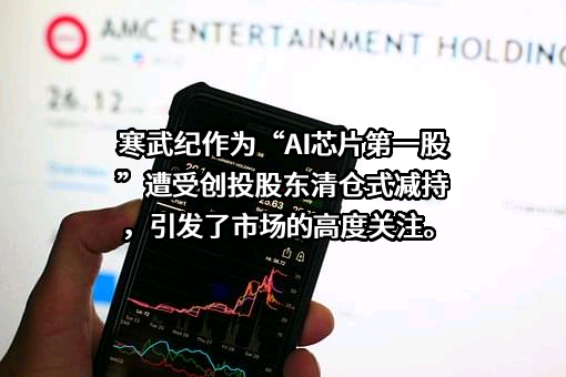 中科寒武纪科技股份有限公司