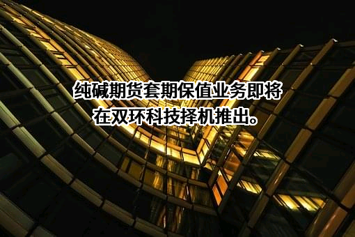 湖北双环科技股份有限公司