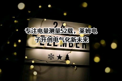 莱姆电子（中国）有限公司