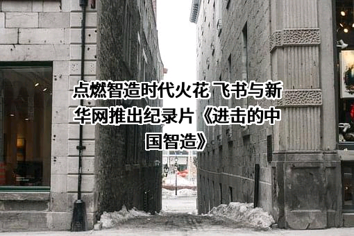 抖音视界有限公司