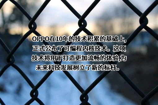 OPPO广东移动通信有限公司