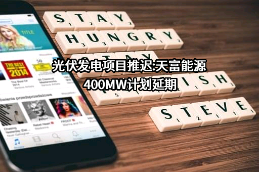 新疆天富能源股份有限公司