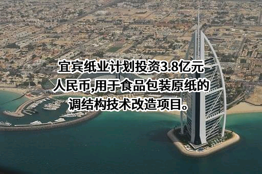 宜宾纸业股份有限公司