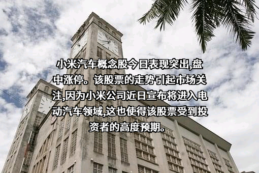 小米科技有限责任公司