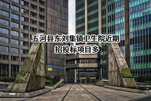 五河县东刘集镇卫生院近期招投标项目多