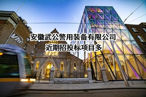 安徽武公警用装备有限公司