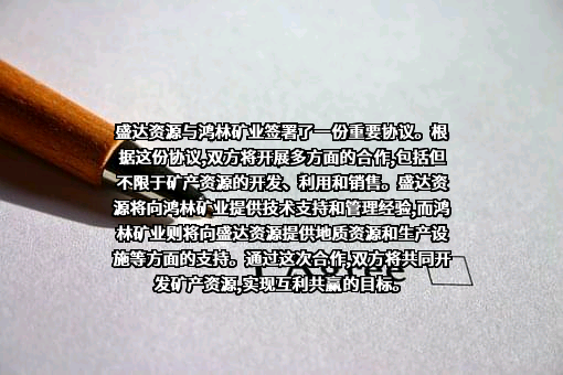 四川鸿林矿业有限公司