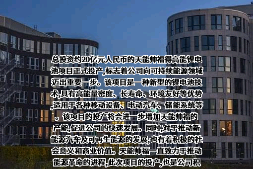 天能帅福得能源股份有限公司