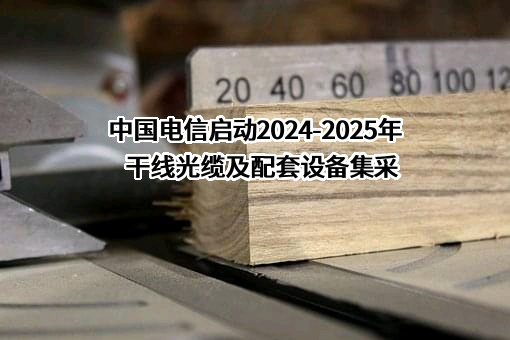 中国电信集团有限公司