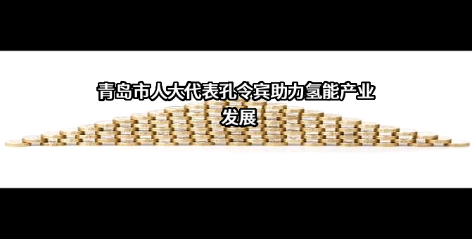 青岛格尔新能源有限公司