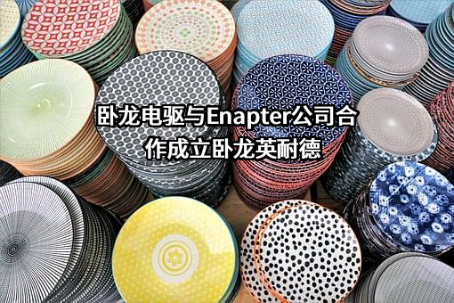卧龙电气驱动集团股份有限公司
