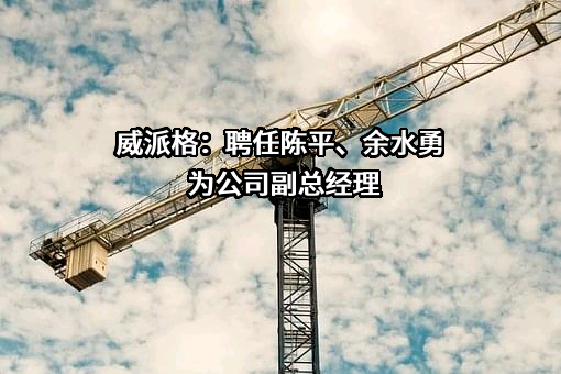 上海威派格智慧水务股份有限公司