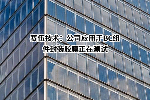 苏州赛伍应用技术股份有限公司