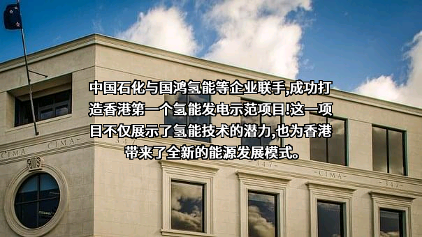 中国石油化工集团有限公司