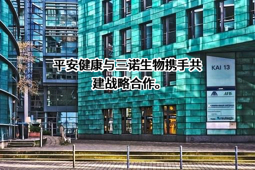 平安健康医疗科技有限公司