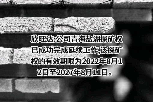 欣旺达电子股份有限公司
