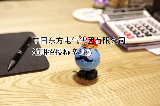 中国东方电气集团有限公司