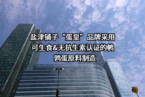 盐津铺子食品股份有限公司