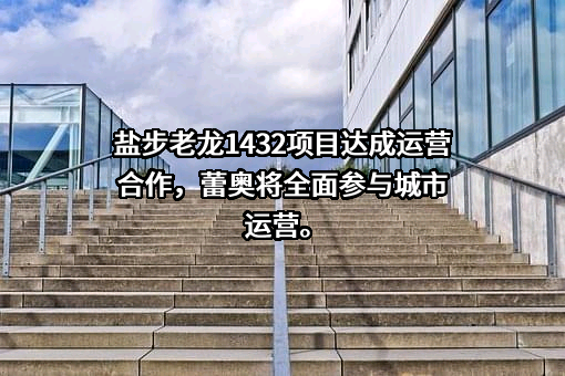 深圳市蕾奥智慧运营管理有限公司
