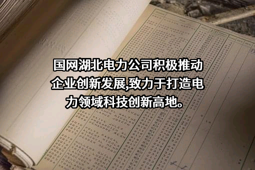 国网湖北电力实业有限公司