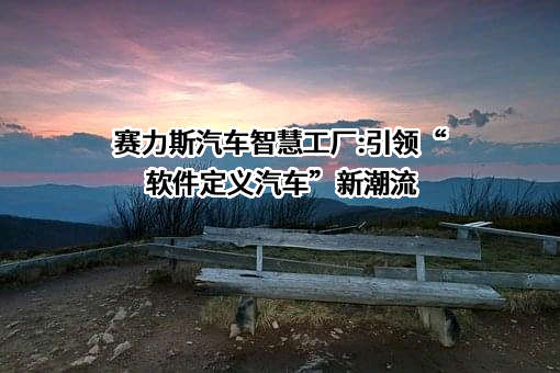 上海赛力斯汽车销售服务有限公司