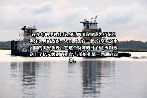 中央广播电视总台