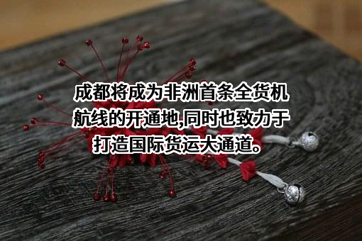 成都双流国际机场股份有限公司