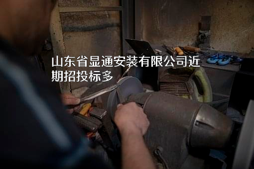山东省显通安装有限公司