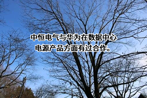 华为技术有限公司
