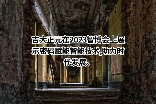 长春吉大正元信息技术股份有限公司