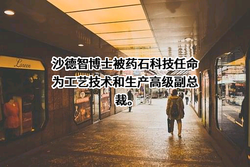 南京药石科技股份有限公司