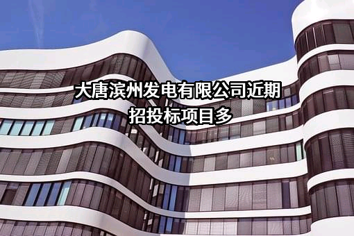 大唐滨州发电有限公司