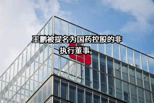 国药控股股份有限公司