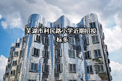芜湖市利民路小学