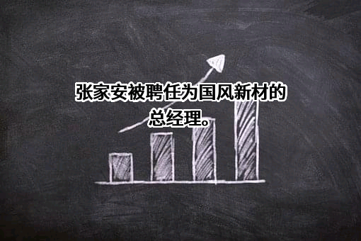 安徽国风新材料股份有限公司