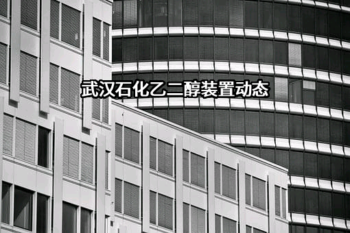 武汉石化石油液化气股份有限公司