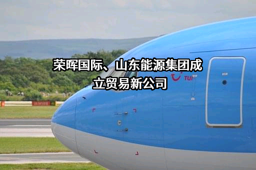 山东能源集团荣晖国际贸易有限公司